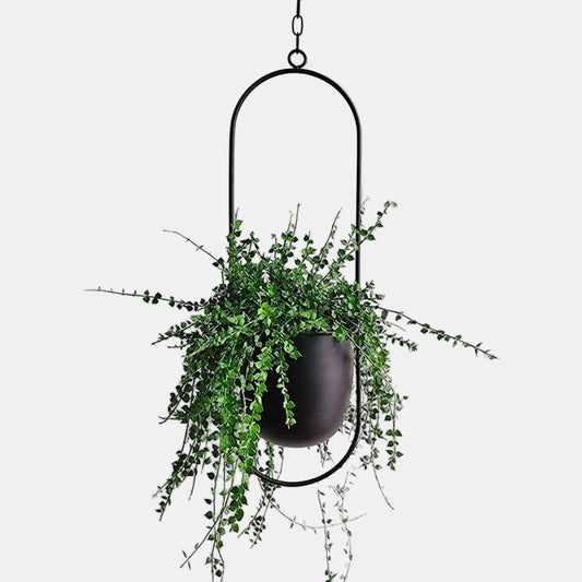 Elegant Minimalistisk Vægplantholder i Jern til Indendørs Dekoration Vægplantehænger Tech Butik Sort Oval