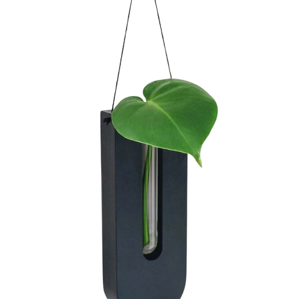 Rustikt Håndlavet Trævægsholdersæt Til Indendørs Planter Og Pladsbesparende Lodret Udstilling Vægplanter Tech Butik