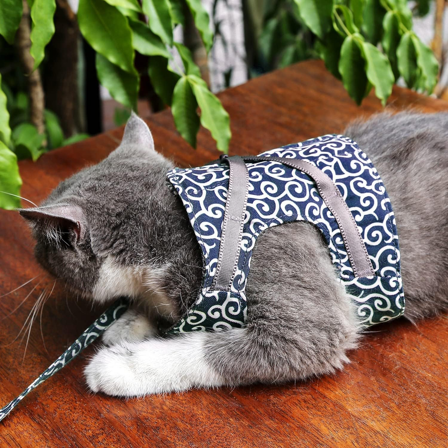 Kat Sele – Komfortabel og Flugt-sikker Pasform Pets Tech Butik