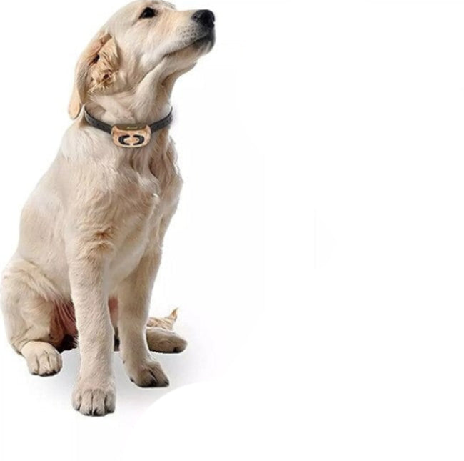 Fjernstyret Træningshalsbånd til Hund – Justerbare Signaler til Kontrolleret Træning Collier De Dressage Chien Tech Butik