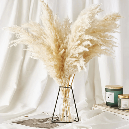Naturlig Tørret Pampas-Buket – Blød, Elegant Dekoration til Hjemmet Dried Flowers Tech Butik