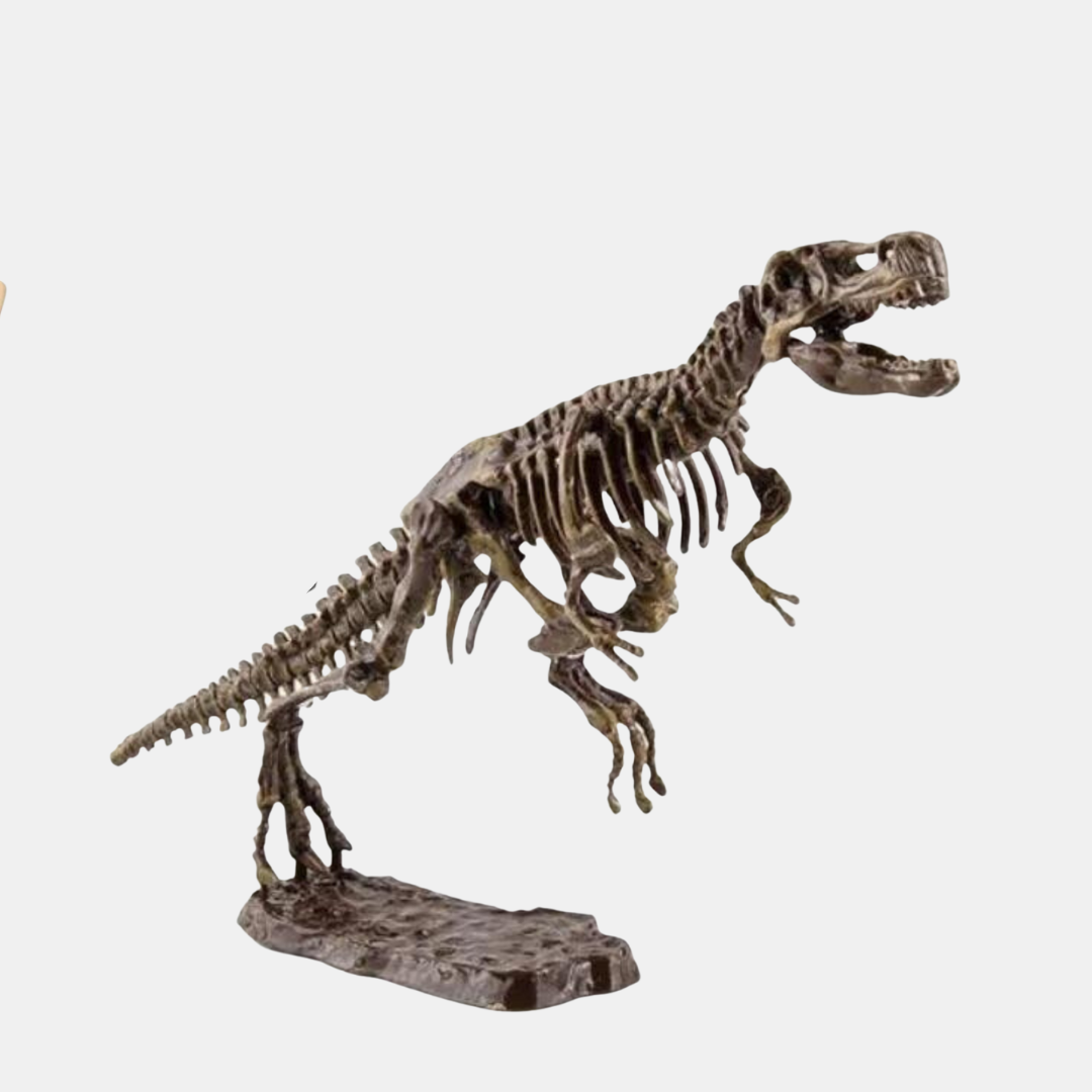 Dinosaur Udgravningssæt – Grav, Oplev & Lær Videnskabslegetøj Tech Butik T-REX
