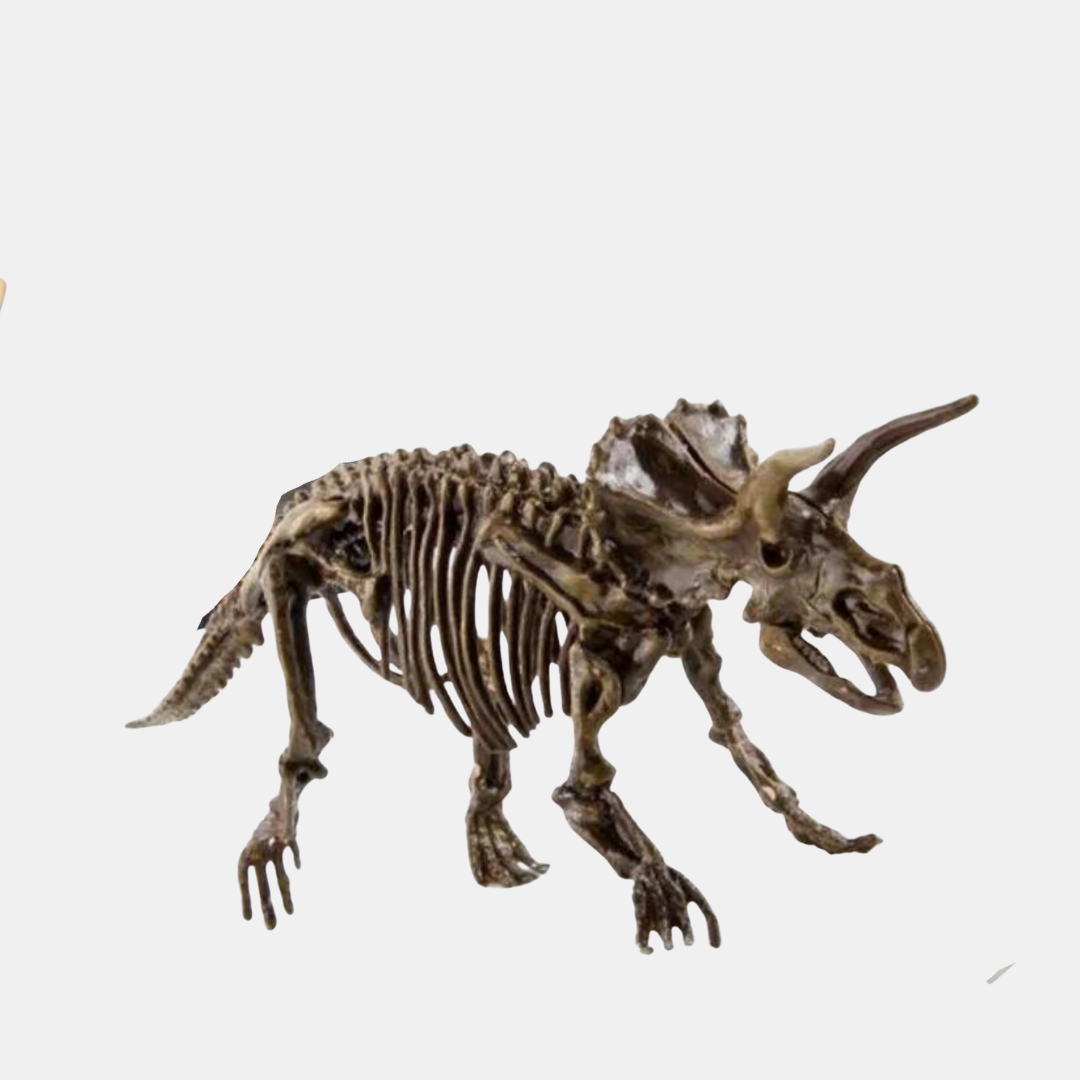 Dinosaur Udgravningssæt – Grav, Oplev & Lær Videnskabslegetøj Tech Butik Triceratops