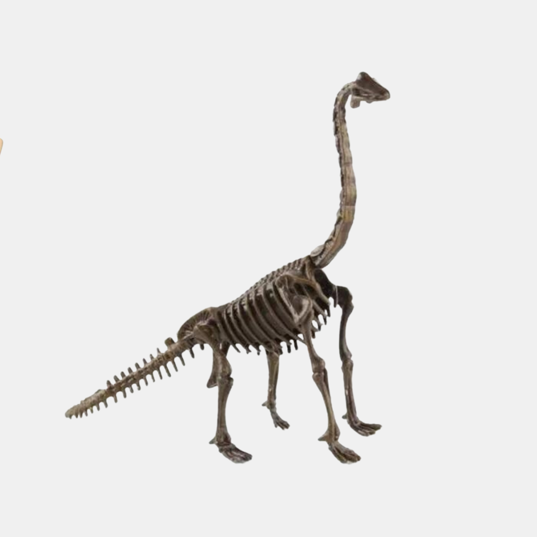 Dinosaur Udgravningssæt – Grav, Oplev & Lær Videnskabslegetøj Tech Butik Brachiosaurus