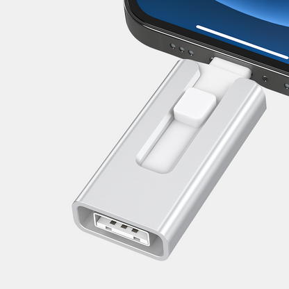 USB-drev – Udvid Lagerplads Øjeblikkeligt til Fotos & Videoer USB-flashdrev Tech Butik Sølv 128GB