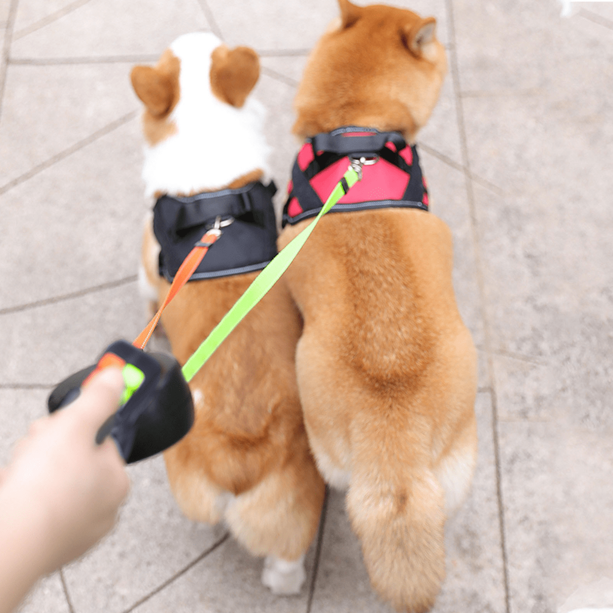 Dobbelt Hundesnor Med Indbygget Lommelygte Og 360° Drejbar Mekanisme Lommelygte Tech Butik