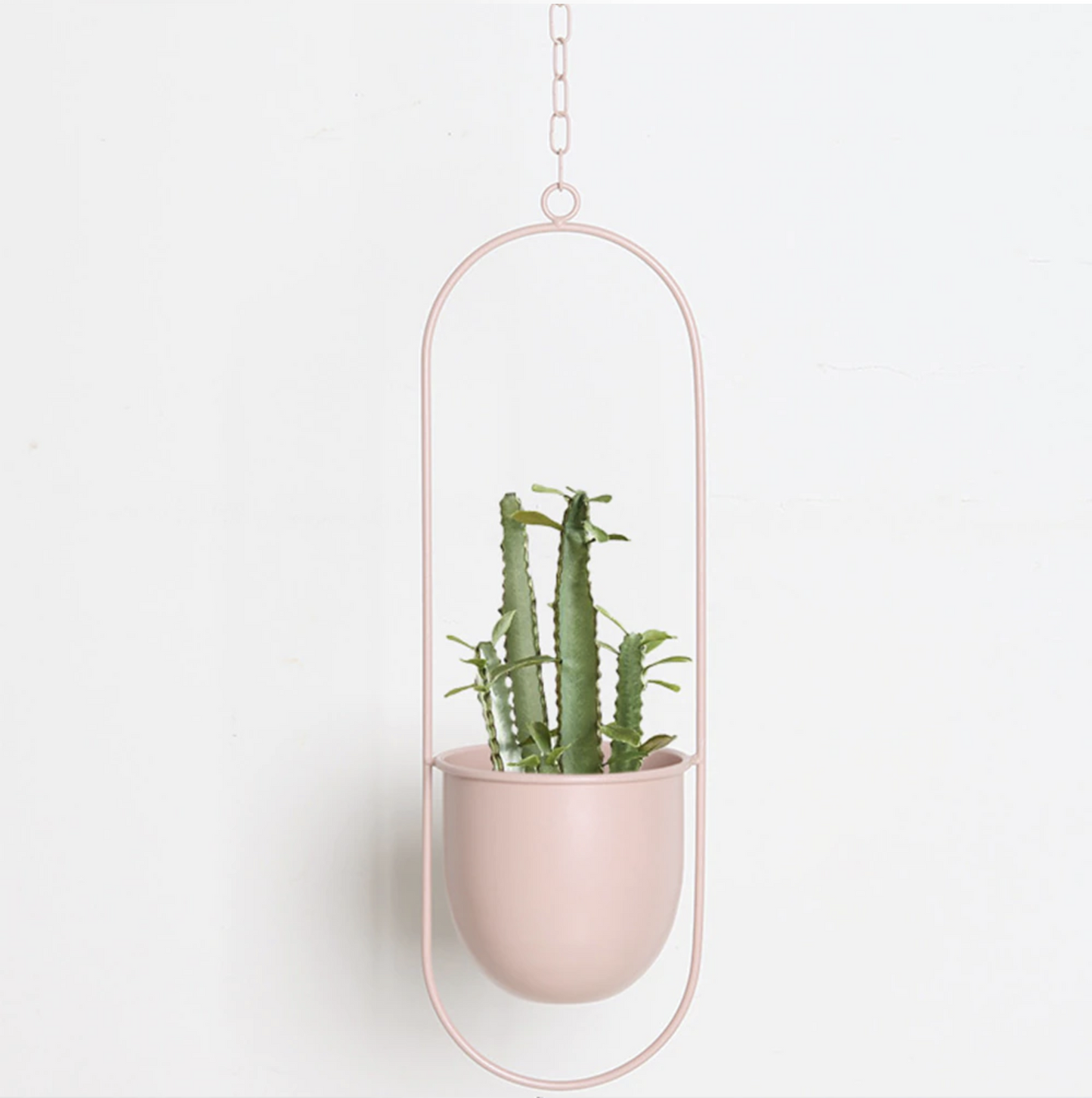 Elegant Minimalistisk Vægplantholder i Jern til Indendørs Dekoration Vægplantehænger Tech Butik Guld Oval