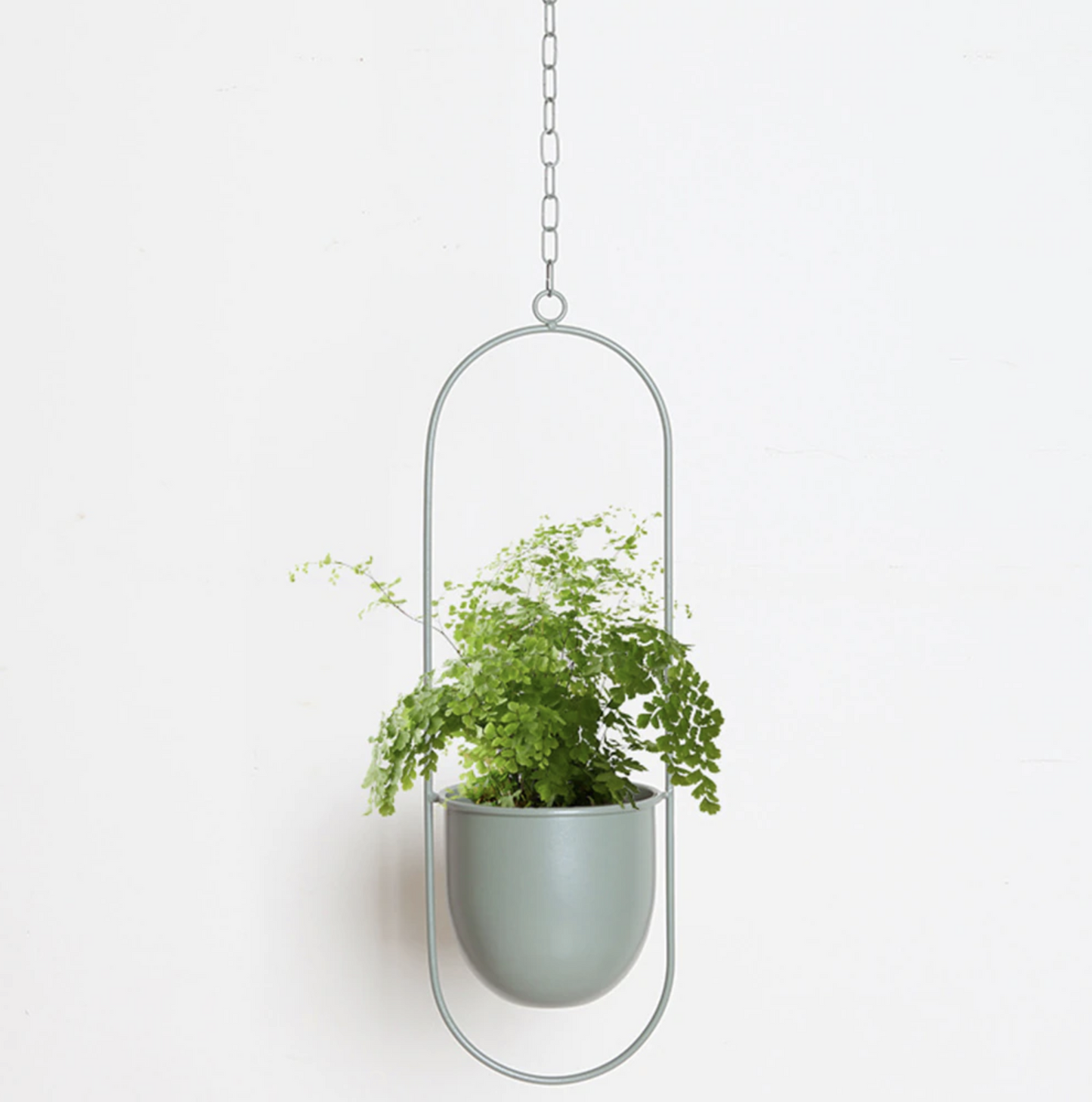 Elegant Minimalistisk Vægplantholder i Jern til Indendørs Dekoration Vægplantehænger Tech Butik Creme Oval