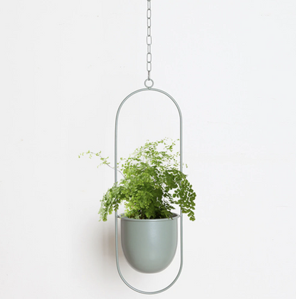 Elegant Minimalistisk Vægplantholder i Jern til Indendørs Dekoration Vægplantehænger Tech Butik Creme Oval