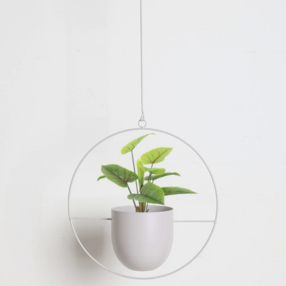 Elegant Minimalistisk Vægplantholder i Jern til Indendørs Dekoration Vægplantehænger Tech Butik Creme Cirkel