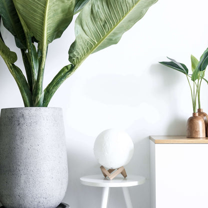 Moderne Måne Bordlampe – Fantastisk 3D Måne-lys med Justerbare Farver Lamps Tech Butik