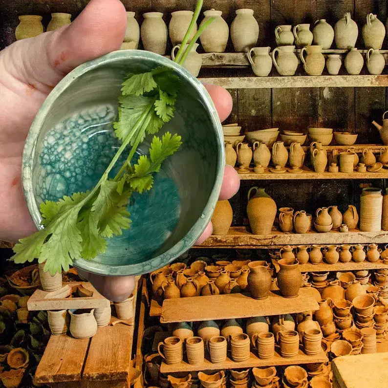 Keramisk Urte Skraber – Funktionel Kunst til Dit Køkken Tech Butik