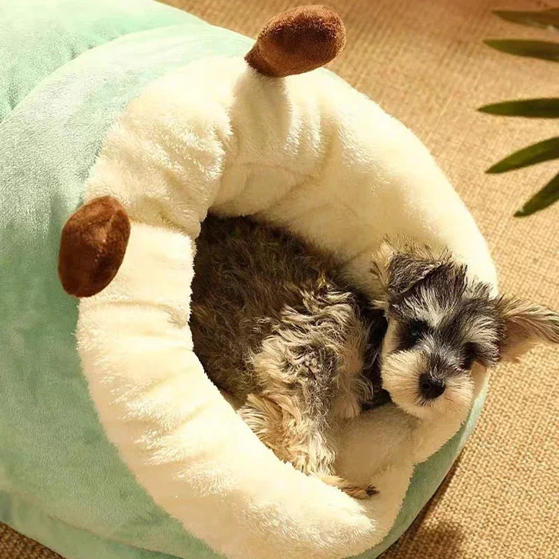 Luksus Hundeseng i Koralfleece – Ultra-blød Komfort til Dit Kæledyr Pets Tech Butik