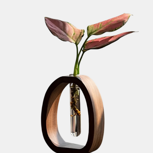 Mini Vaser i Massiv Valnøddetræ med Glasindsats Elegant Moderne Dekoration til Små Planter og Blomster Vaser Tech Butik