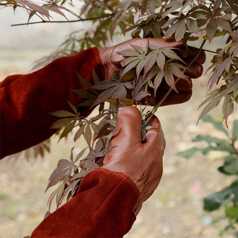Multifunktionelle Havehandsker – Beskyttende og Holdbare Handsker til Let Havearbejde Hand Gloves Tech Butik