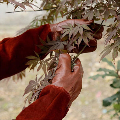 Multifunktionelle Havehandsker – Beskyttende og Holdbare Handsker til Let Havearbejde Hand Gloves Tech Butik
