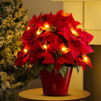 Lyse Blomst Poinsettia – Festlig og Livlig Dekoration home decor Tech Butik