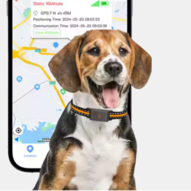 Smart GPS Kæledyrshalsbånd – Præcis Sporing til Hunde & Katte GPS Collars Tech Butik