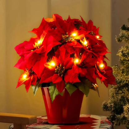 Lyse Blomst Poinsettia – Festlig og Livlig Dekoration home decor Tech Butik