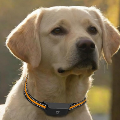 Smart GPS Kæledyrshalsbånd – Præcis Sporing til Hunde & Katte GPS Collars Tech Butik