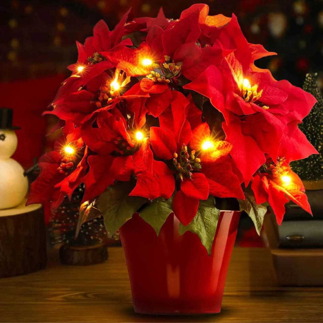 Lyse Blomst Poinsettia – Festlig og Livlig Dekoration home decor Tech Butik