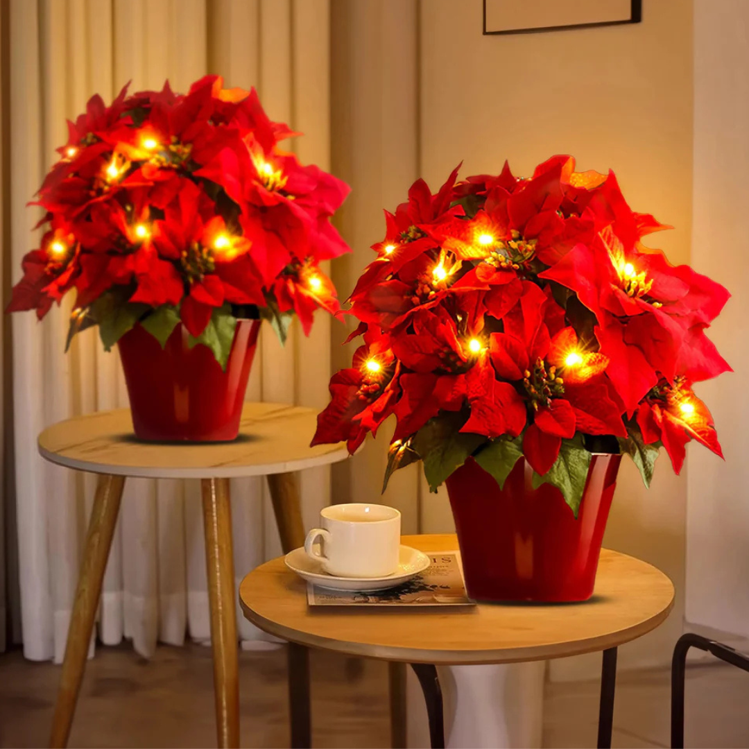 Lyse Blomst Poinsettia – Festlig og Livlig Dekoration home decor Tech Butik