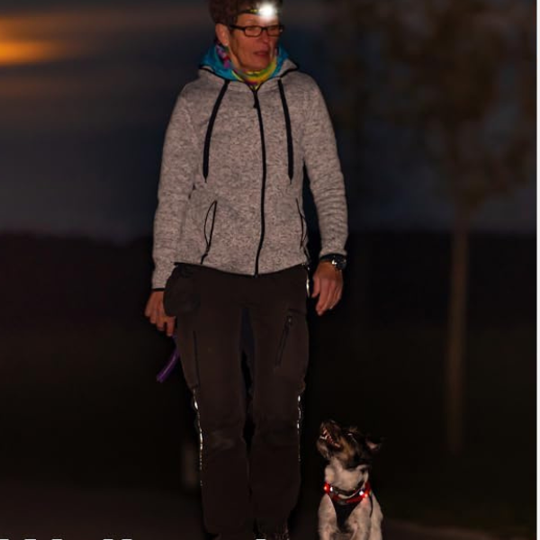 Genopladeligt Pandelampe – 8 Tilstande, Vandtæt, USB-Genopladelig med Rødt & Hvidt Lys Headlamps Tech Butik