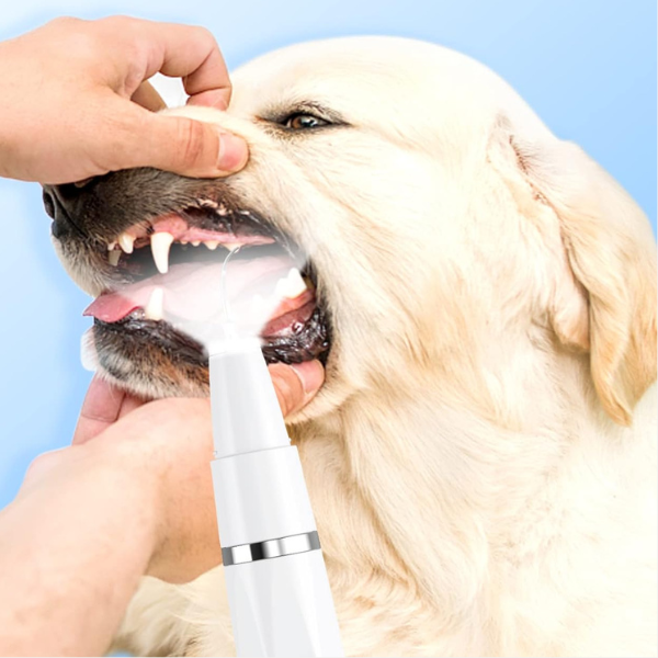 Ultralyds Dyretandrenser – Avanceret Teknologi til Fjernelse af Tandsten Pets & Supplies Tech Butik