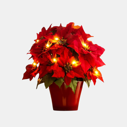 Lyse Blomst Poinsettia – Festlig og Livlig Dekoration home decor Tech Butik Julestjerne Gryde