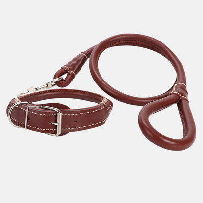 Premium Læder Hundehalsbånd & Line – Holdbart og Stilfuldt Dyreudstyr Pets Tech Butik Brun