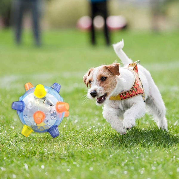 Hoppe Aktiveringsbold til Hunde – Interaktiv Sjov og Motion Pets Tech Butik