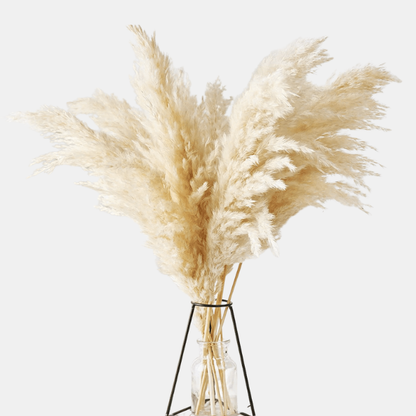 Naturlig Tørret Pampas-Buket – Blød, Elegant Dekoration til Hjemmet Dried Flowers Tech Butik