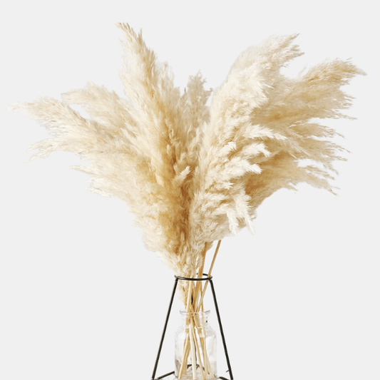 Naturlig Tørret Pampas-Buket – Blød, Elegant Dekoration til Hjemmet Dried Flowers Tech Butik