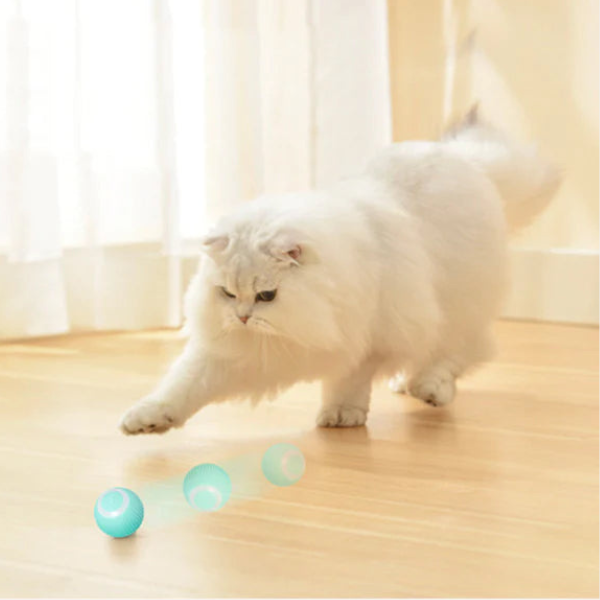 Interaktiv Kæledyrs Bold – Underholdende Leg for Aktive Kæledyr Pets & Supplies Tech Butik