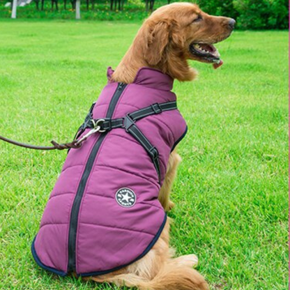 Ultimativ Vandtæt Hundejakke – Varm, Stilfuld Beskyttelse til Eventyr i Alt Slags Vejr pets care Tech Butik