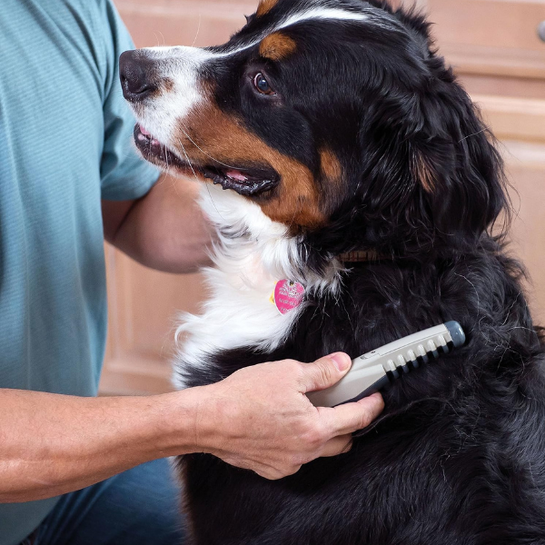 Elektrisk Pleje Kam til Kæledyr – Skånsomt og Effektivt Pelsplejeværktøj Pets & Supplies Tech Butik