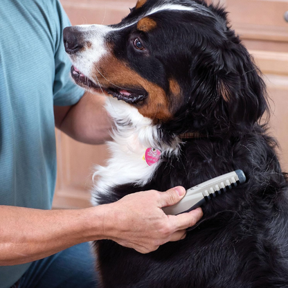 Elektrisk Pleje Kam til Kæledyr – Skånsomt og Effektivt Pelsplejeværktøj Pets & Supplies Tech Butik