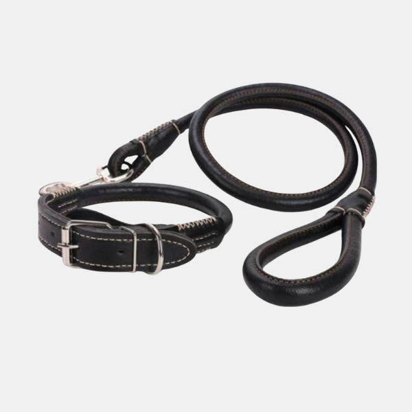 Premium Læder Hundehalsbånd & Line – Holdbart og Stilfuldt Dyreudstyr Pets Tech Butik Sort