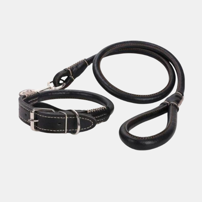 Premium Læder Hundehalsbånd & Line – Holdbart og Stilfuldt Dyreudstyr Pets Tech Butik Sort