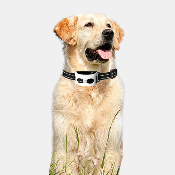 2-i-1 Trådløst Træningshundehalsbånd & Elektronisk Hegnsystem – Pålidelig Sikkerhed & Skånsom Korrektion Collar Tech Butik