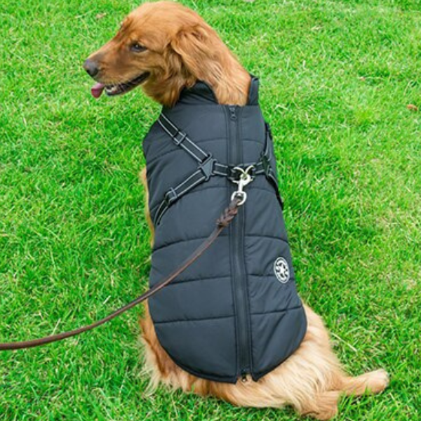 Ultimativ Vandtæt Hundejakke – Varm, Stilfuld Beskyttelse til Eventyr i Alt Slags Vejr pets care Tech Butik