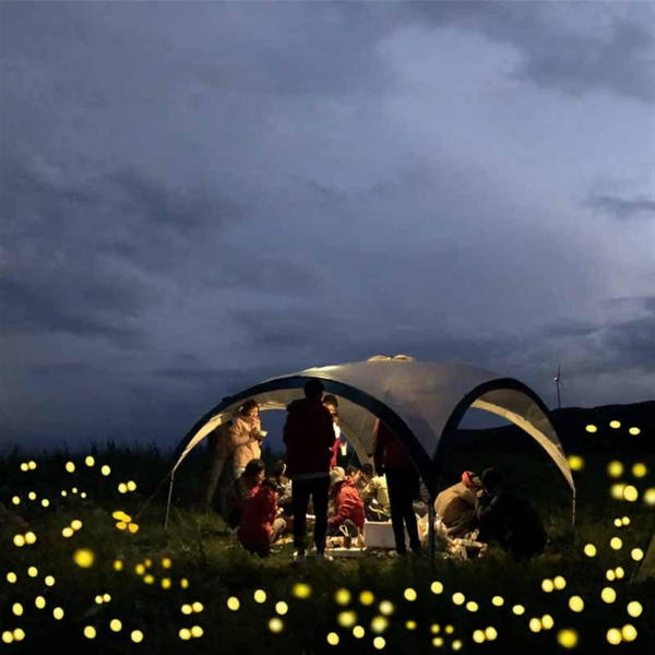 Solar Svajende Havelys – Stilfuld og Bæredygtig Udendørsindretning Lighting Tech Butik