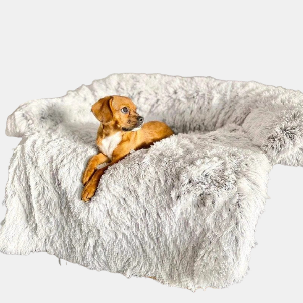 Beroligende Sofa-Hundeseng – Hyggelig Komfort til Afslappede Kæledyr Best Dog Sofa Bed - Calming Furniture Protector, Light Gray / S (Up to 35LBS) Tech Butik Lys farve Lille