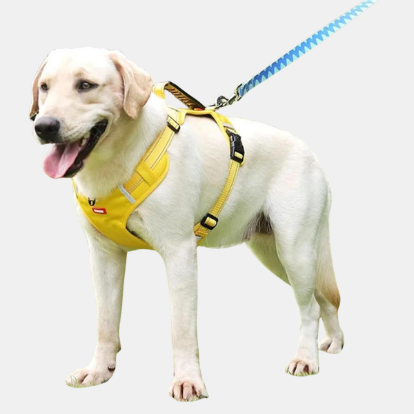 Justerbar hundesele – holdbar & skånsom støtte til hunde Harnesses Tech Butik Gul XS (2.5-5 KG)