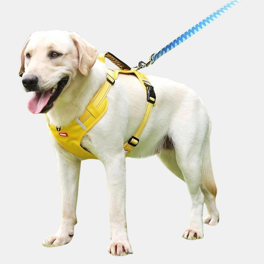 Justerbar hundesele – holdbar & skånsom støtte til hunde Harnesses Tech Butik Gul XS (2.5-5 KG)