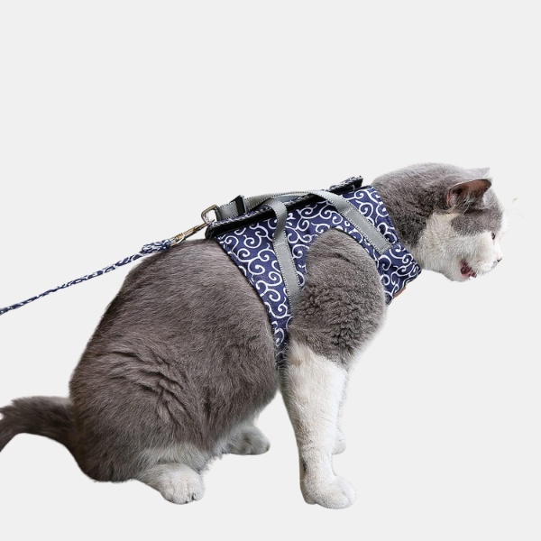 Kat Sele – Komfortabel og Flugt-sikker Pasform Pets Tech Butik Blå XS