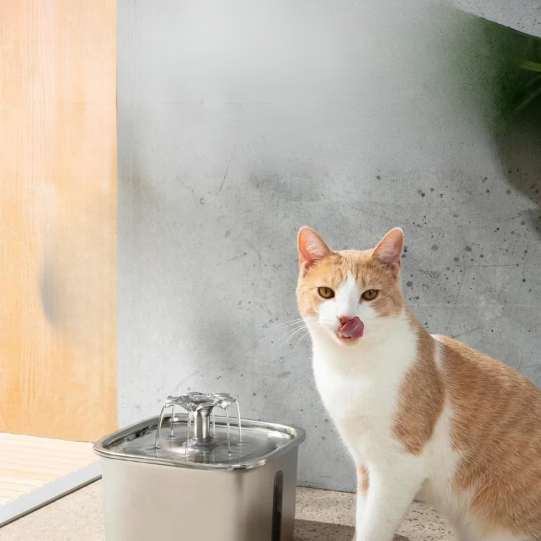 Drikkefontæne i rustfrit stål til katte - Hygiejnisk, støjsvag vanddispenser til kæledyr Tech Butik