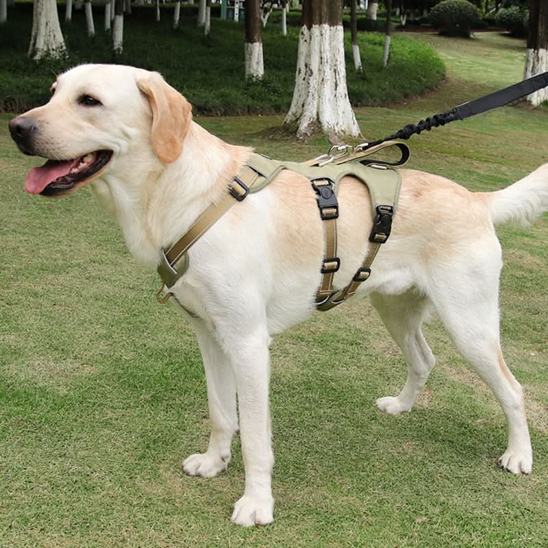 Anti-Pull Hundesele – Sikker og Komfortabel Grip til Hund på Gåturen Harnesses Tech Butik