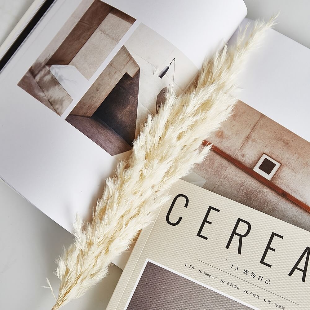 Naturlig Tørret Pampas-Buket – Blød, Elegant Dekoration til Hjemmet Dried Flowers Tech Butik